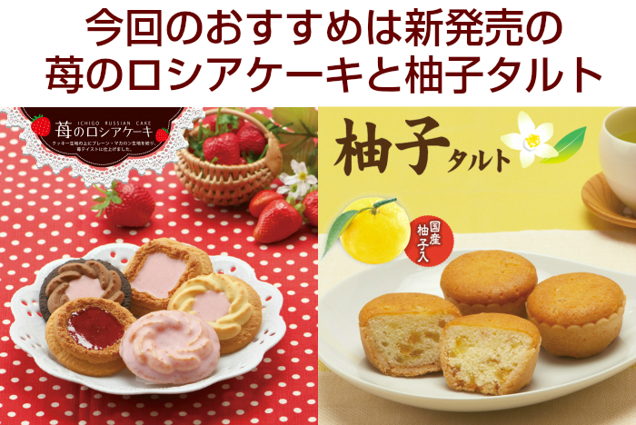 今回のおすすめ