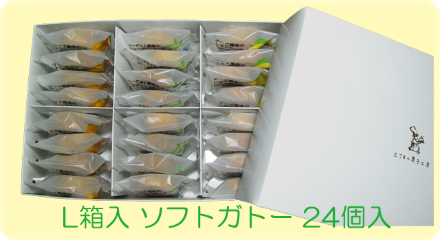 L箱 ソフトガトー24個入り」