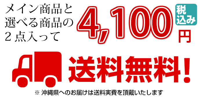 冬の 贈り物 選べる 御 歳暮 セット A 送料 無料 4,100円