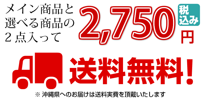 冬の 贈り物 選べる 御 歳暮 セット C 送料 無料 2,750円