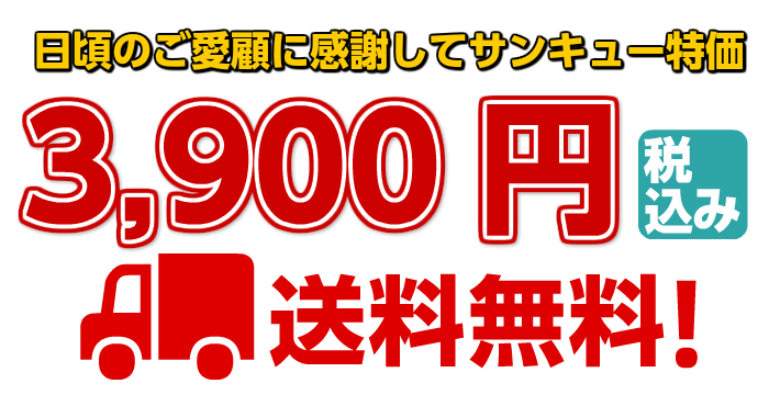 3,900円 税込 送料無料