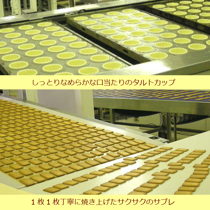 タルト ケーキ レーズン サンド 製造 ライン