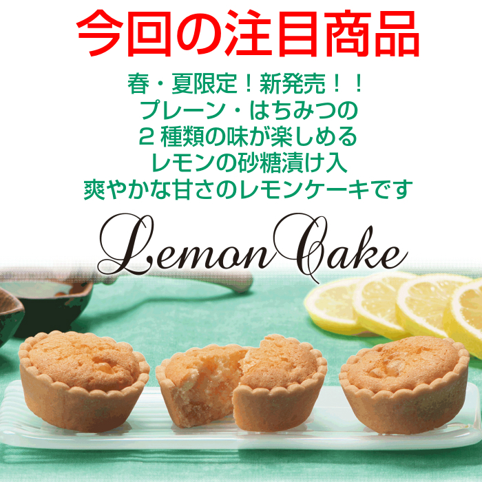 今回の注目商品