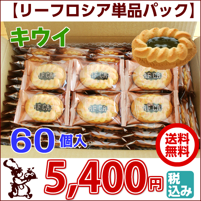 リーフロシア 単品 パック 60個入 キウイ 送料無料 5,400円