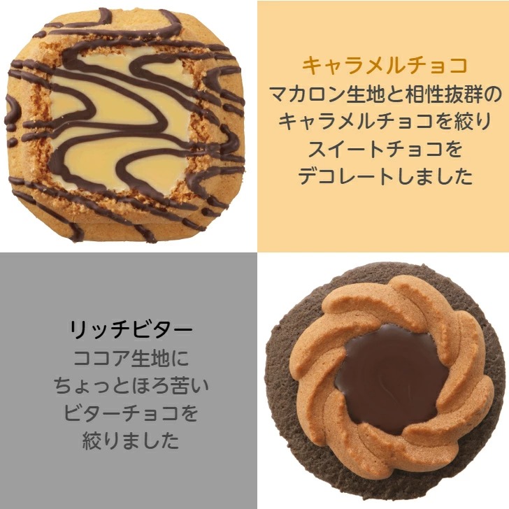 昔ながらの 2度焼き クッキー お徳用 パック チョコ 4種