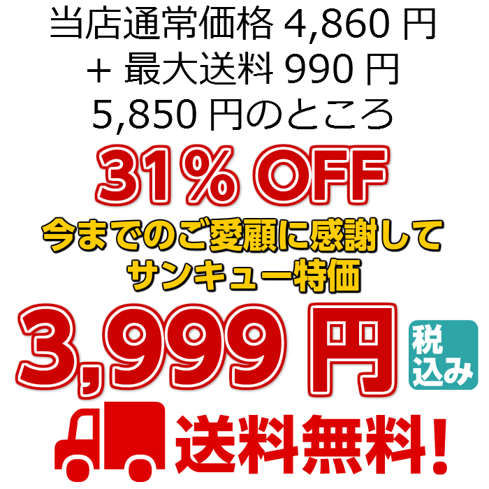 3999円送料無料