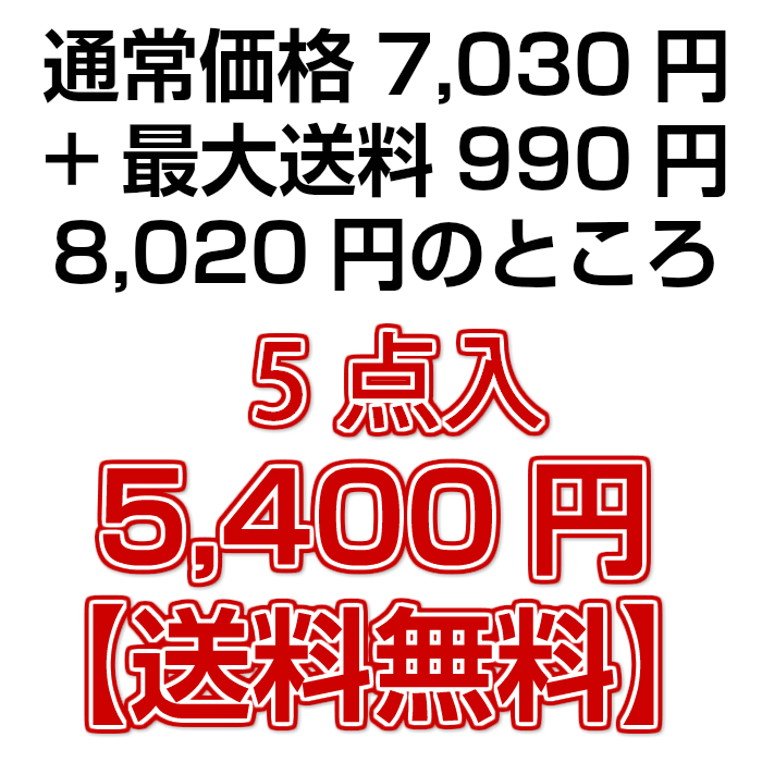 5点入5400円送料無料