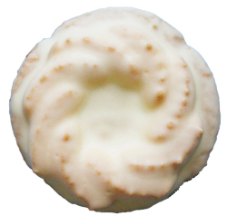 ロシアケーキ　ホワイトチョコ