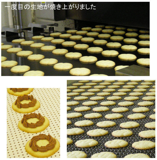 ロシアケーキ製造ライン（ミルクチョコ）