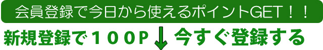 会員登録で100ポイントプレゼント！