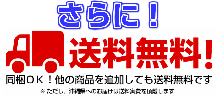 送料無料