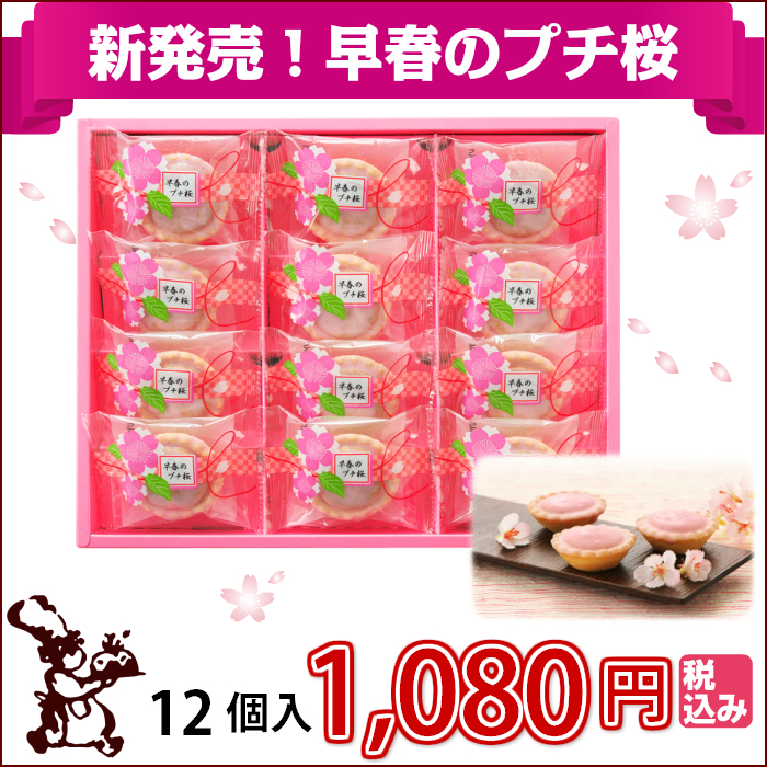 早春のプチ桜12個入